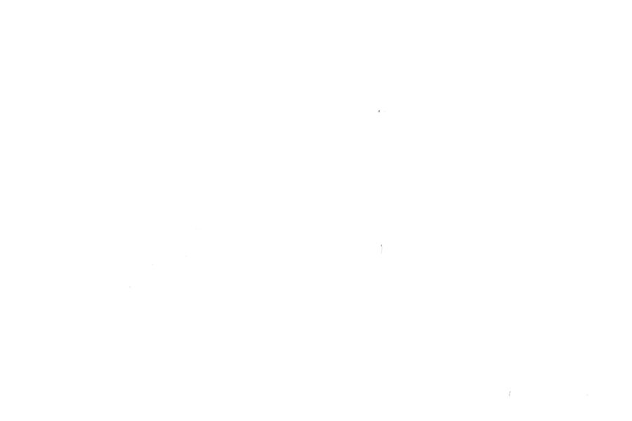 Image 31